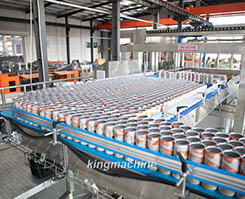  Depalletizer 