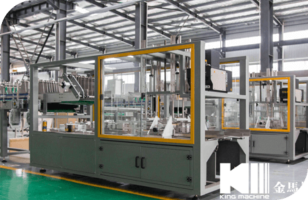Carton Packing Machine
