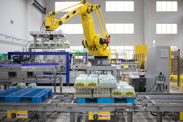 robot palletizer
