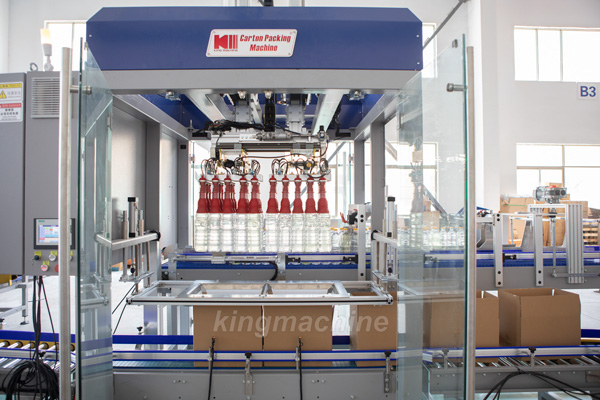 Carton packing machine