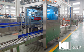 Carton packing machine-1