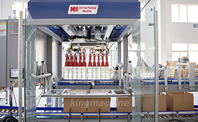 6.Carton packing machine