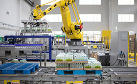 11 Palletizer Machine