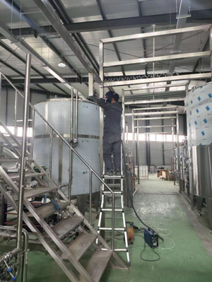 beverage blending system