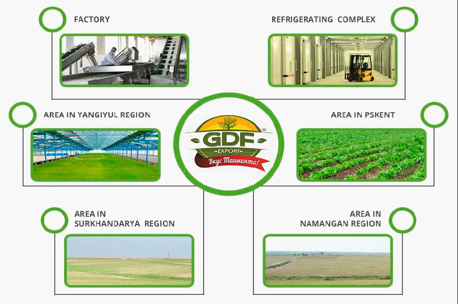 30T Water Treatment System Put Into Use In Uzbekistan Famous Food Processing Enterprise GDF LLC.png