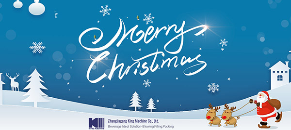 We Are Celebrating The Christmas With Our Workers And Customers
